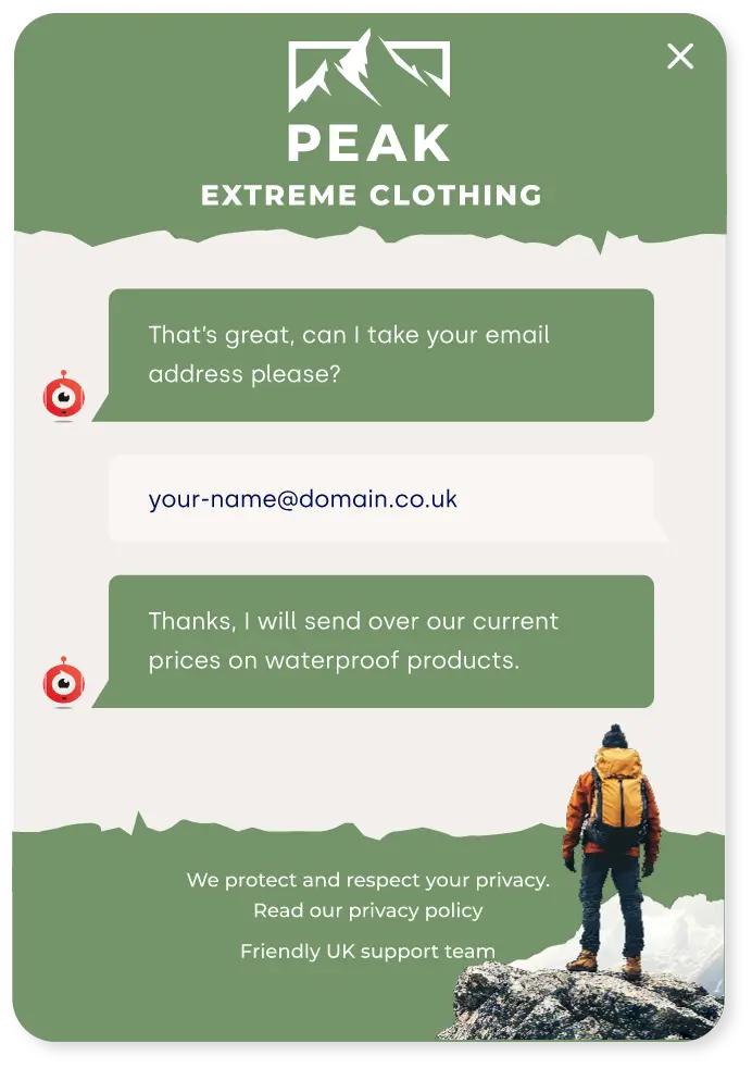 Coni chatbot chat window collecting visitor details via chatbot for website