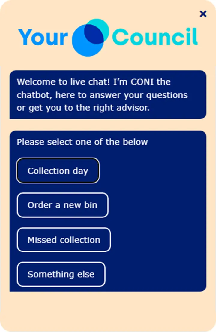 Coni handling a central/local government live chat conversation